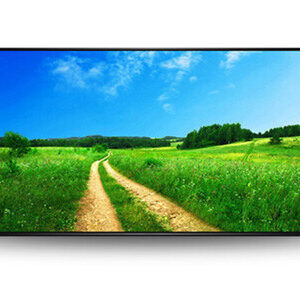 43" Professional Commercial Display Monitor